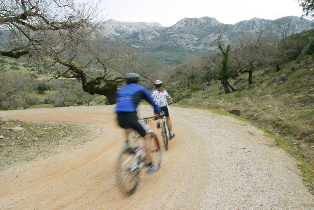 SOIL - High Performance Bikes - Made In Germany